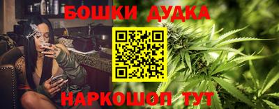 прущие грибы Комсомольск-на-Амуре