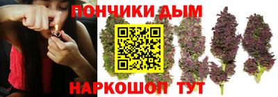 индика Конаково